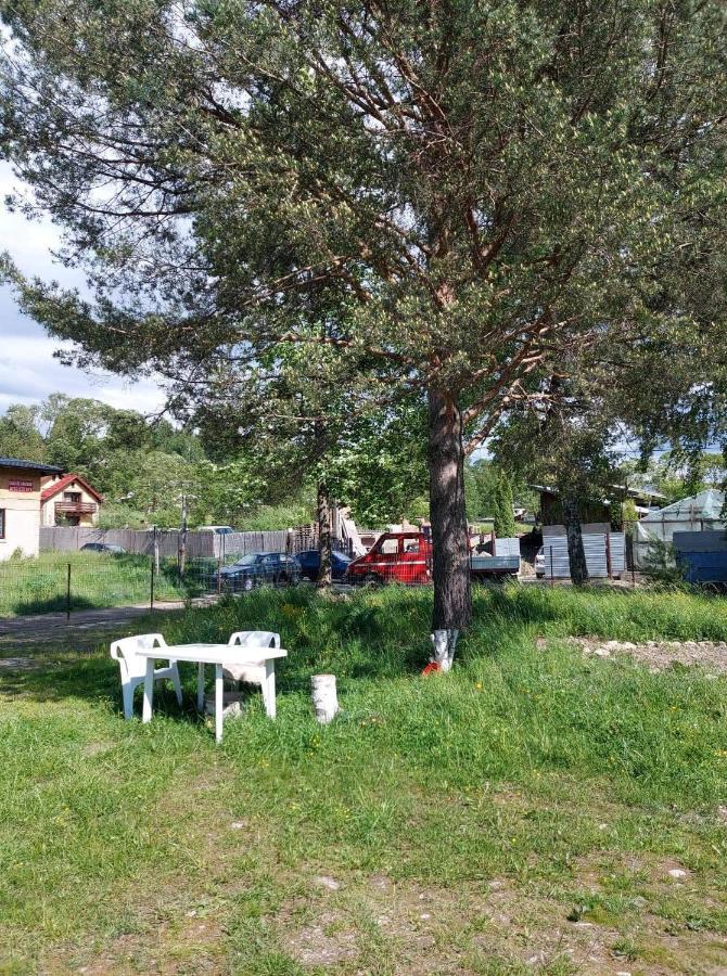 Casa Rodica Leilighet Vatra Dornei Eksteriør bilde