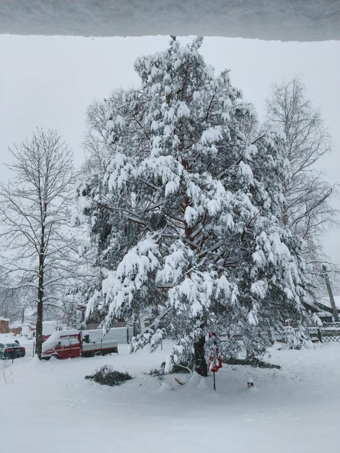 Casa Rodica Leilighet Vatra Dornei Eksteriør bilde