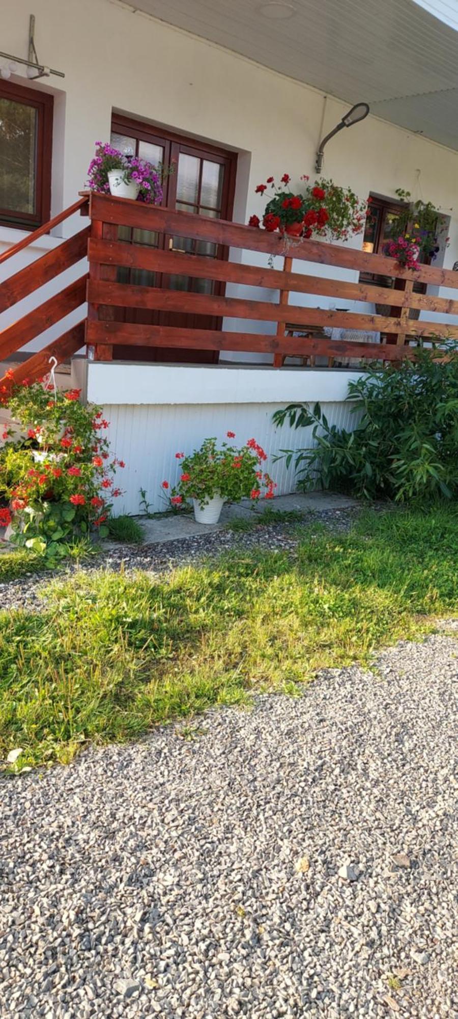 Casa Rodica Leilighet Vatra Dornei Eksteriør bilde